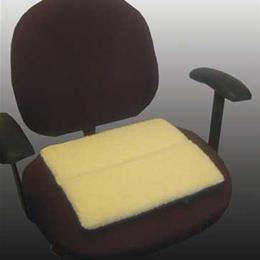 ROSE HEALTHCARE COMFORT CARRY CUSHION